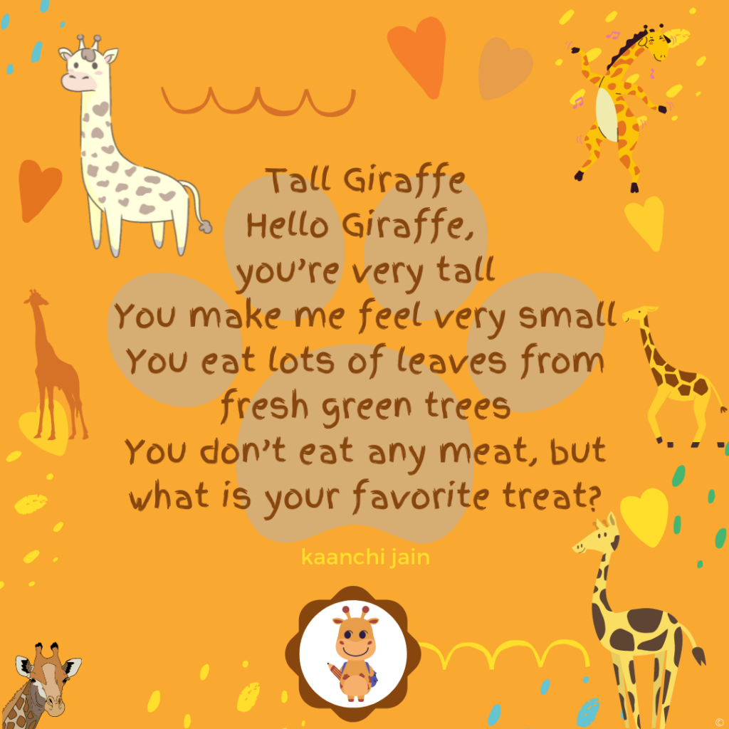 Tall giraffe