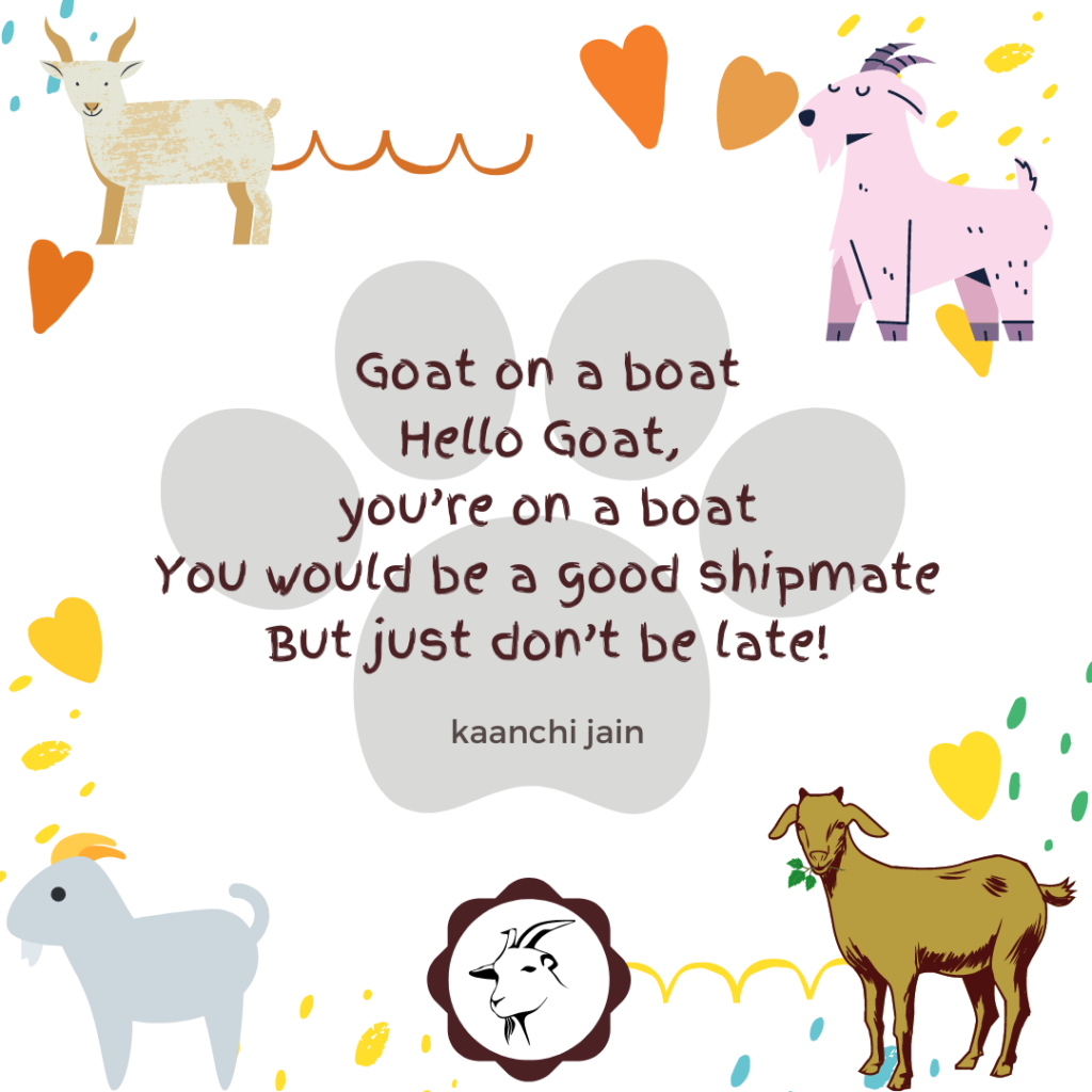 Goat on a boat