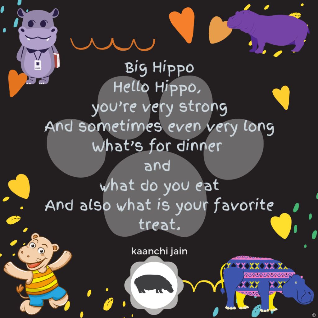 Big Hippo