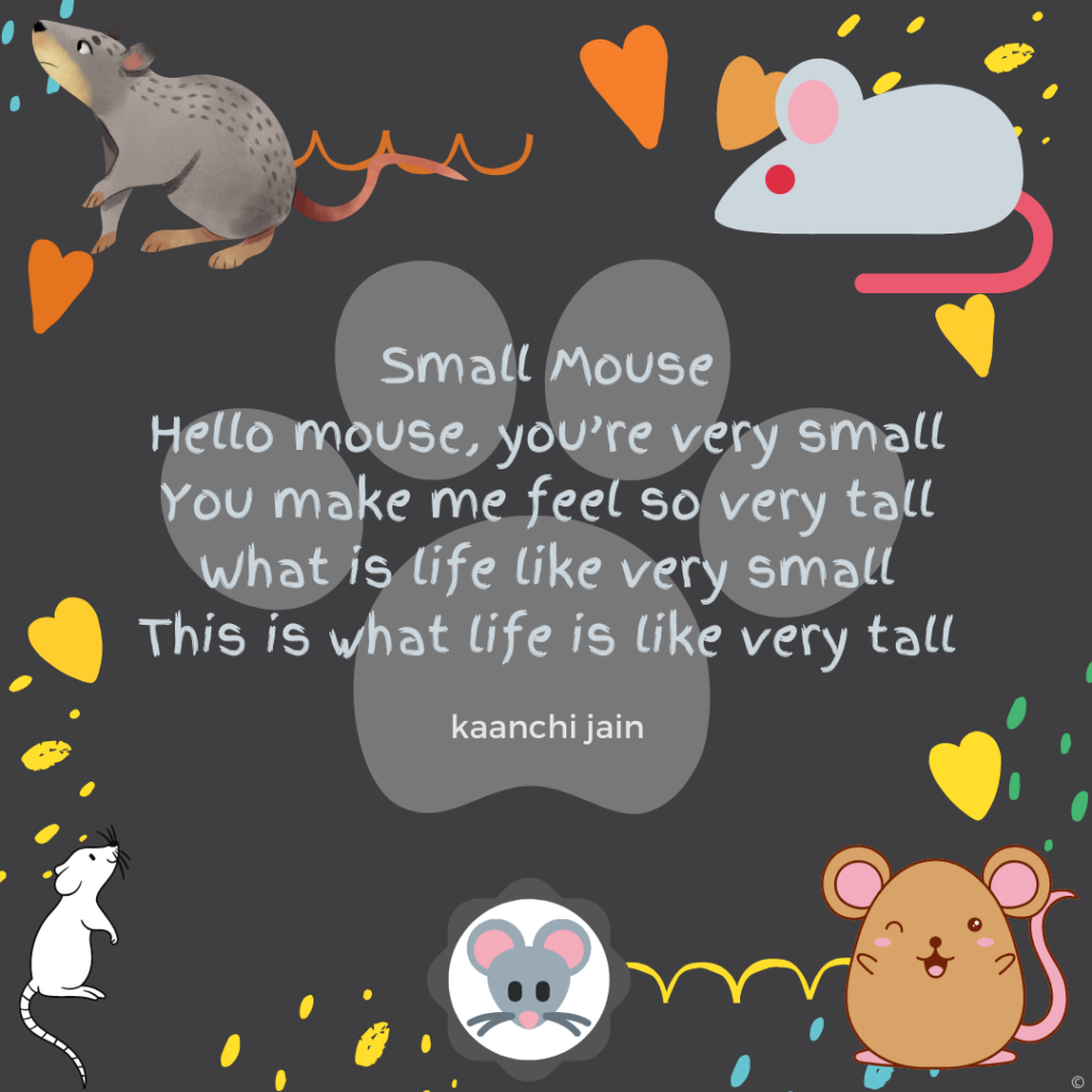 Small Mouse